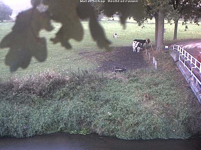 Camera Live Image